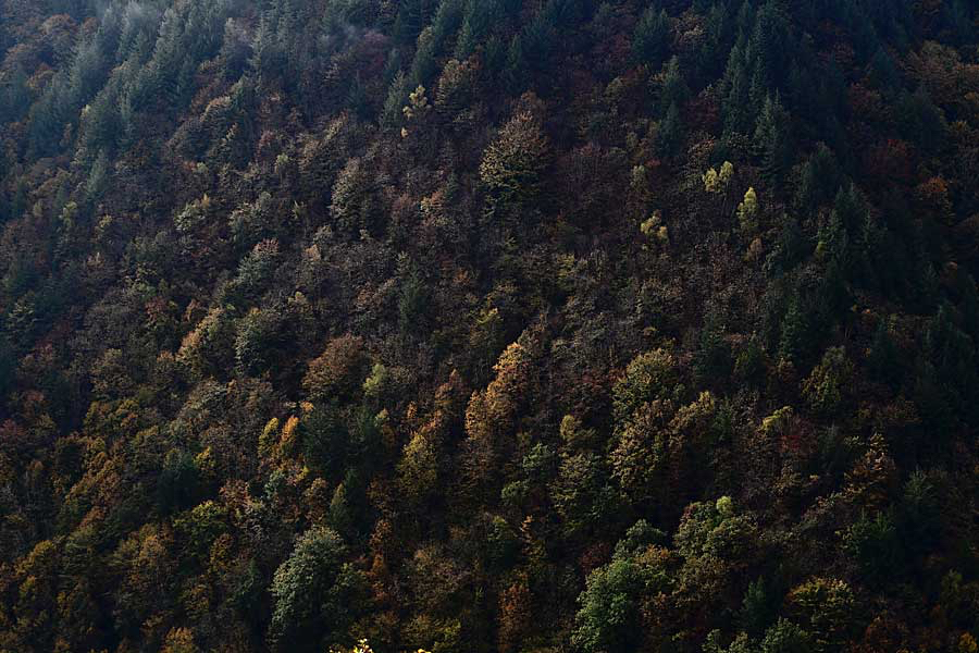 Gertjan-begin-herfst.jpg