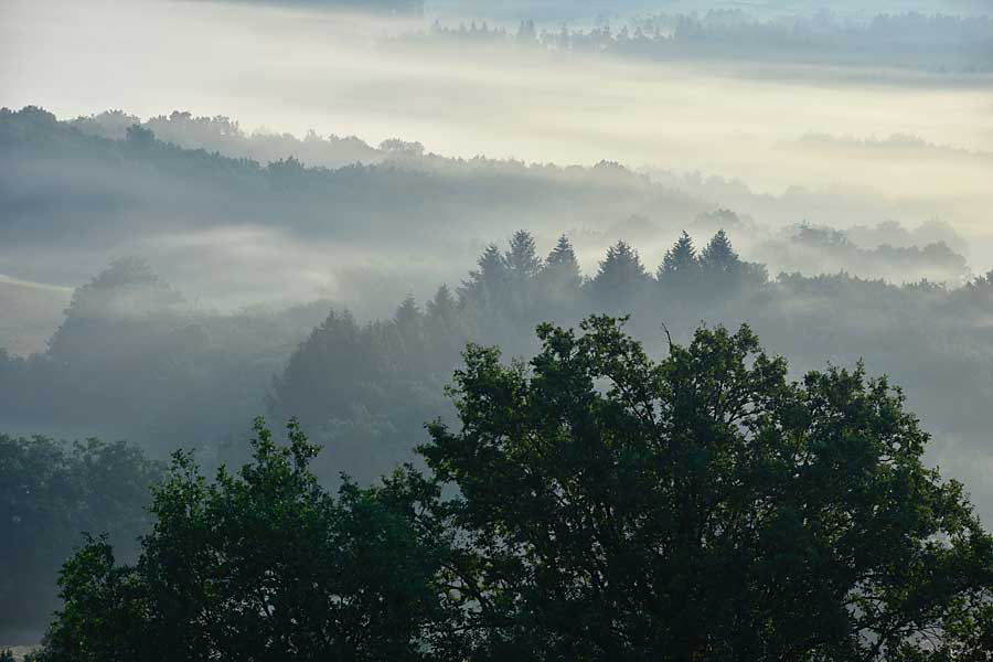 Ilonka-laagjes-landschap.jpg