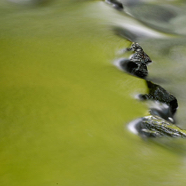 Ruud-en-groen-water.jpg