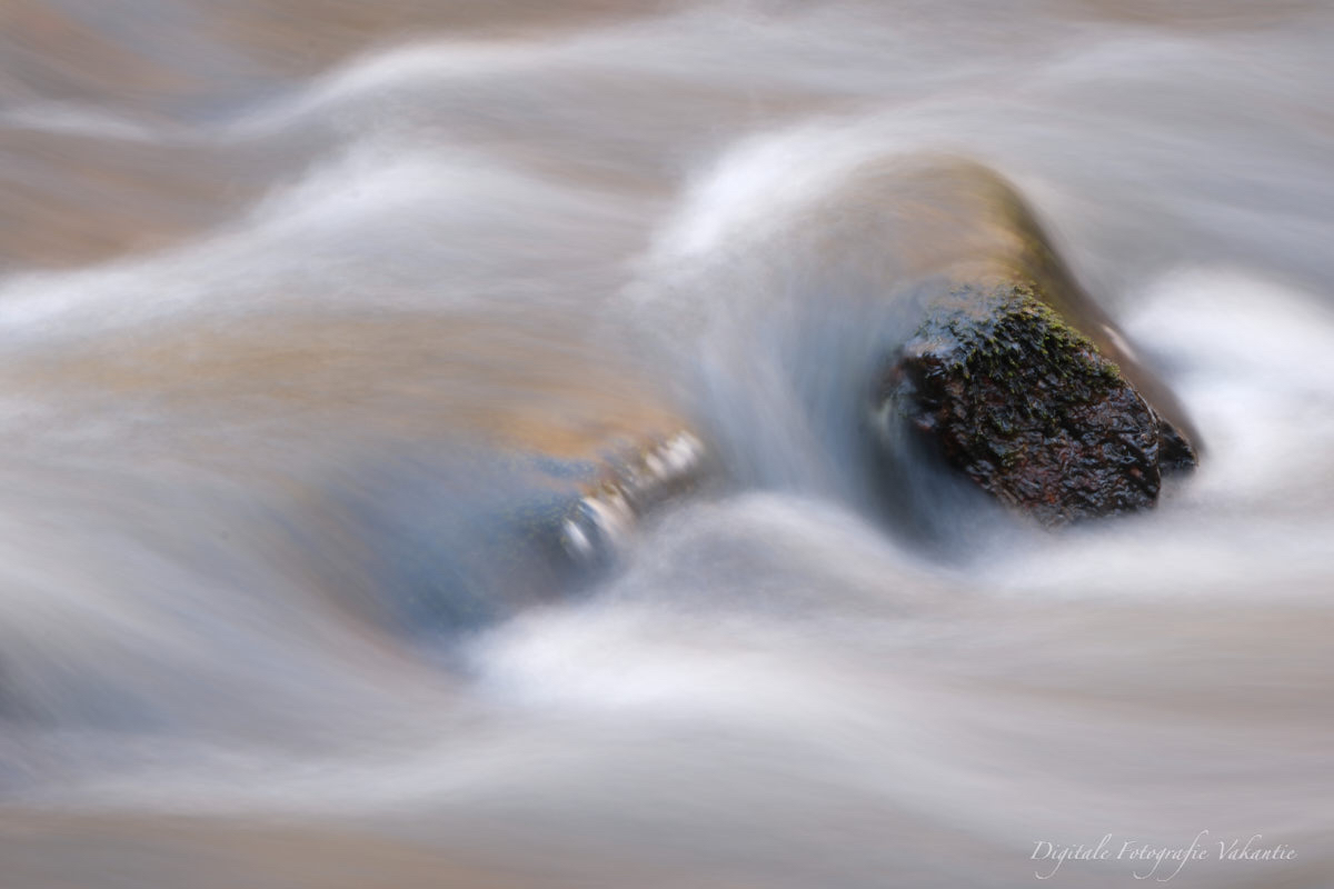 Iris steen en water.jpg