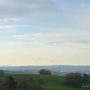 Marten listig landschap.jpg