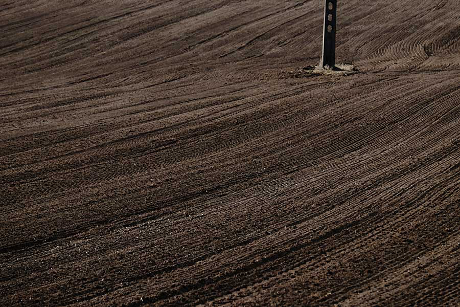 Frits-en-sporen-in-het-veld.jpg