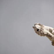 Hermien-Florence-leeuwenkoppen.jpg