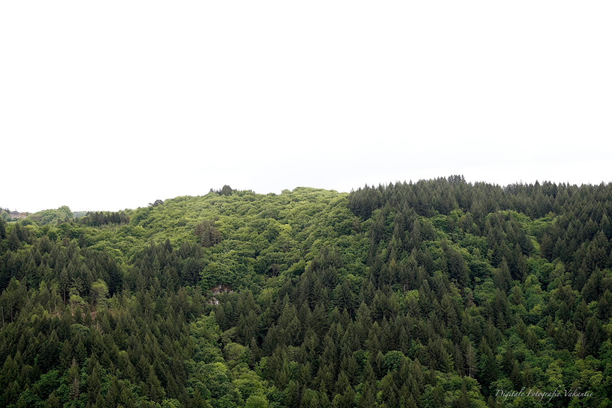 Alex rucbof landschap.jpg