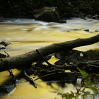 Rosita-gele-rivier